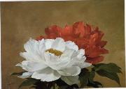 unknow artist Still life floral, all kinds of reality flowers oil painting 34 china oil painting artist
